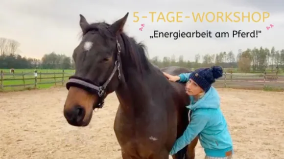 Onlineworkshop  Energiearbeit am Pferd