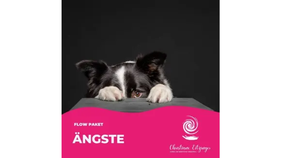 Flow  Ängste