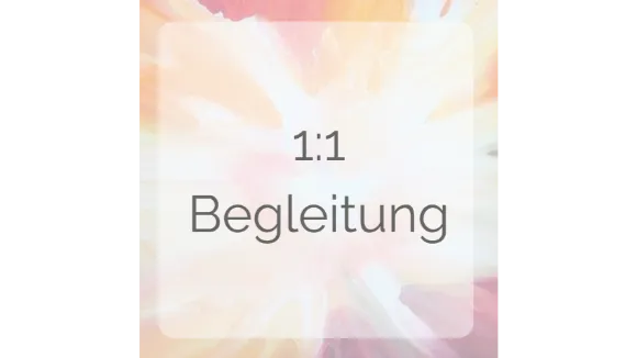 11 Begleitung über 3 Monate