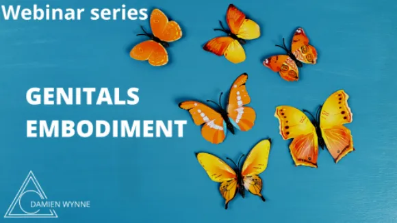 Genitals Embodiment