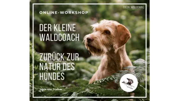 Der kleine Waldcoach Zurück zur Natur des Hundes