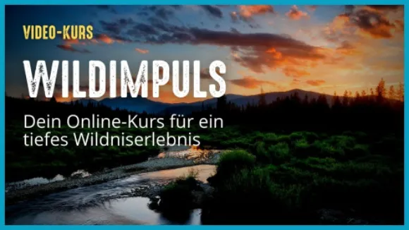 Wildimpuls Für mehr Wildnis in deinem Leben