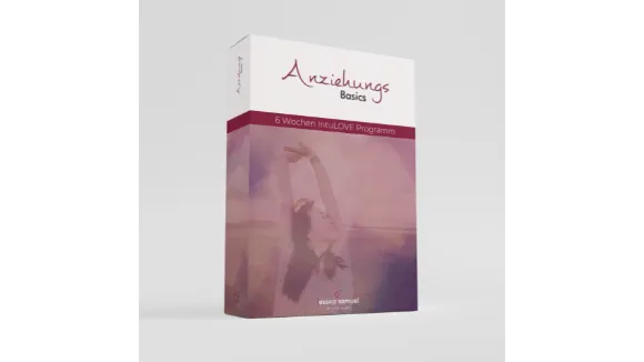AnziehungsBasics Selbstlerner