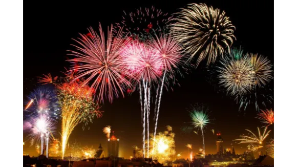 Hilfe Silvester naht vom Umgang mit ängstlichen Hunden