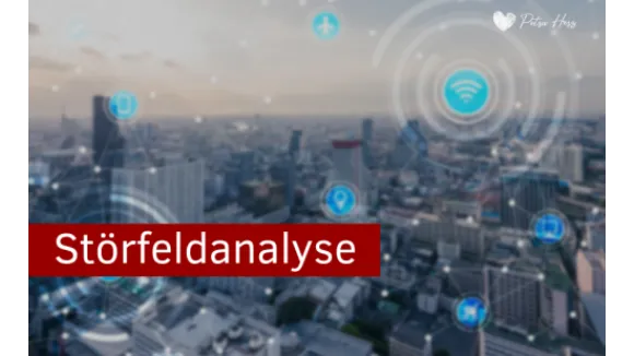 Störfeldanalyse