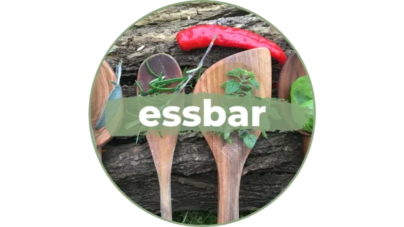 essbar 6 Monate Mentoring Programm
