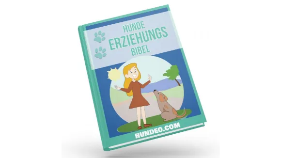 Hunde Erziehungs Bibel