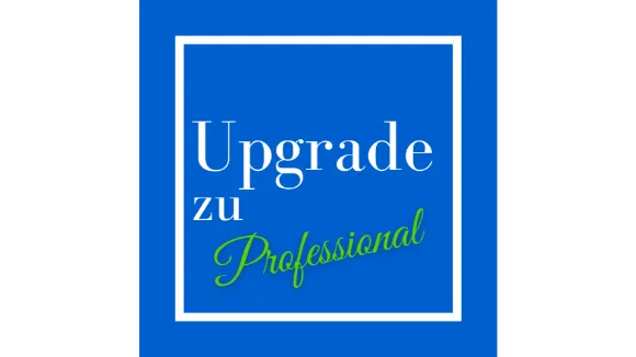 Die GründerDisc Upgrade zu Professional