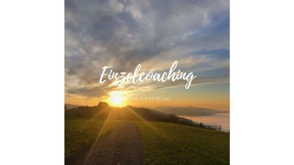 Life Coaching Einzelcoaching vor Ort