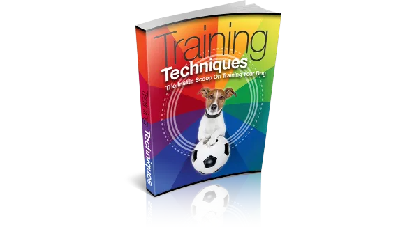 Training Techniques