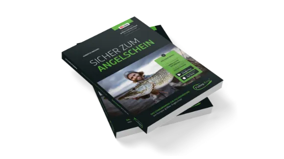 eBook Sicher zum Angelschein