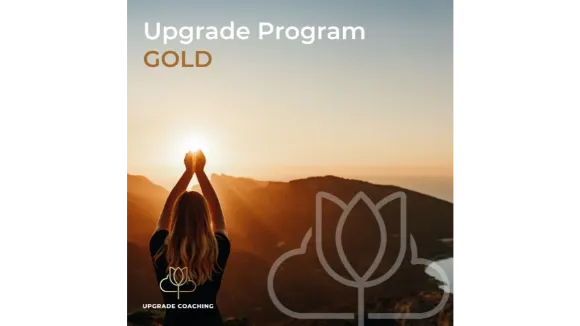 Upgrade Program  GOLD
