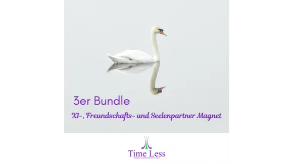 3er Bundle X1 Seelenpartner und Freundschafts Magnet