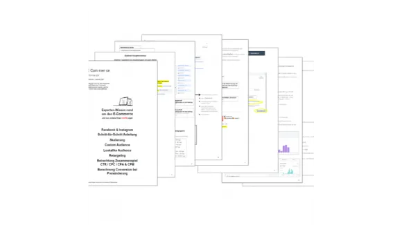 Insight Advertising Facebook Ads skalieren