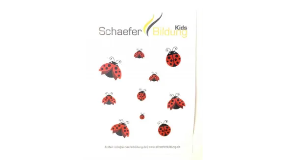 Poster Visuelle Marienkäfer